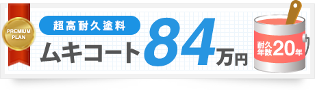 超高耐久塗料 ムキコート 73,48万円 耐久年数20年